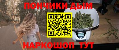 шишки Абинск