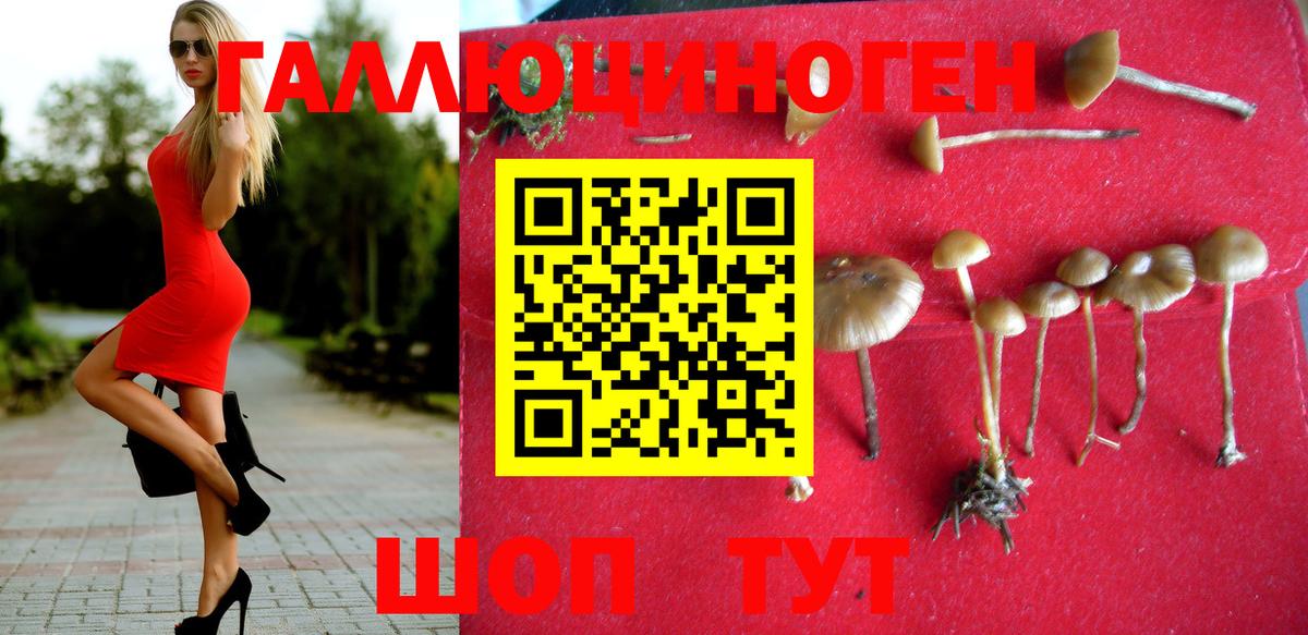 Псилоцибиновые грибы Psilocybine cubensis  продажа наркотиков  Вход с VPN  Людиново  Псилоцибиновые грибы мухоморы 