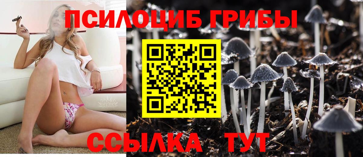 Галлюциногенные грибы Cubensis Людиново