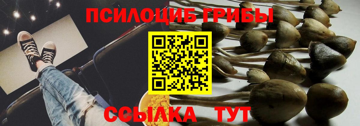 Галлюциногенные грибы мухоморы  Людиново  Галлюциногенные грибы мицелий 